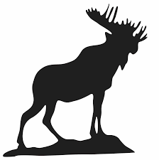 Celina Moose Lodge